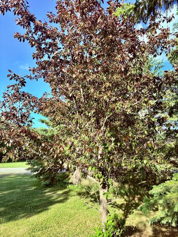 1036 Winter Drive NW, Baudette, MN 56623