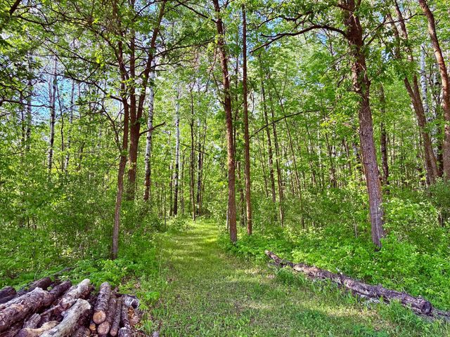 1036 Winter Drive NW, Baudette, MN 56623
