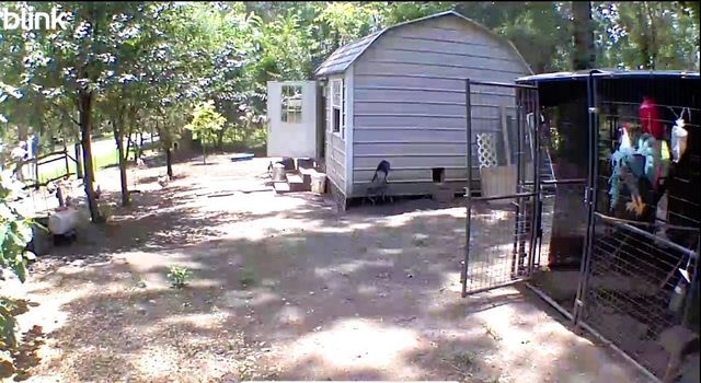 318 Ridgewood Road, Goodrich, TX 77335