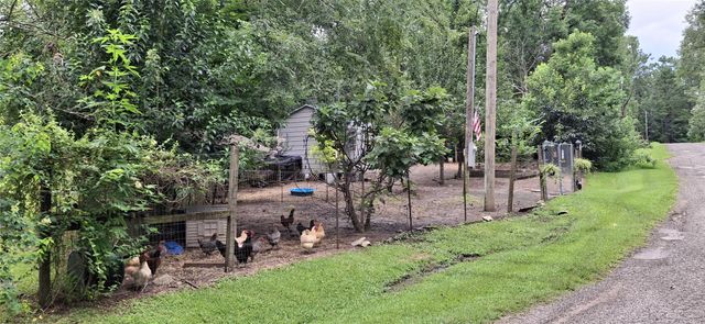 318 Ridgewood Road, Goodrich, TX 77335