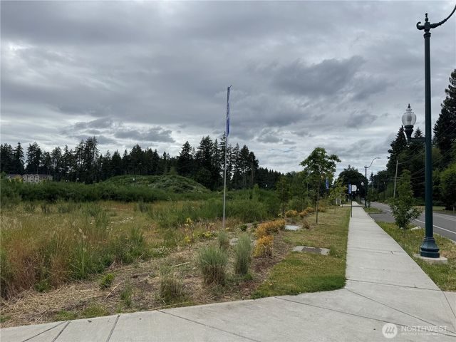 2520 Park View Street NE, Olympia, WA 98506