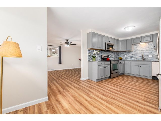 439 Dickson St, Longmont, CO 80504