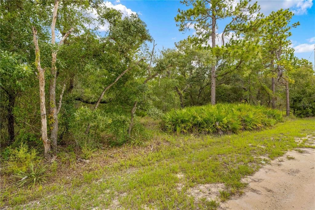 0000 MARSH OWL AVENUE, Weeki Wachee, FL 34614