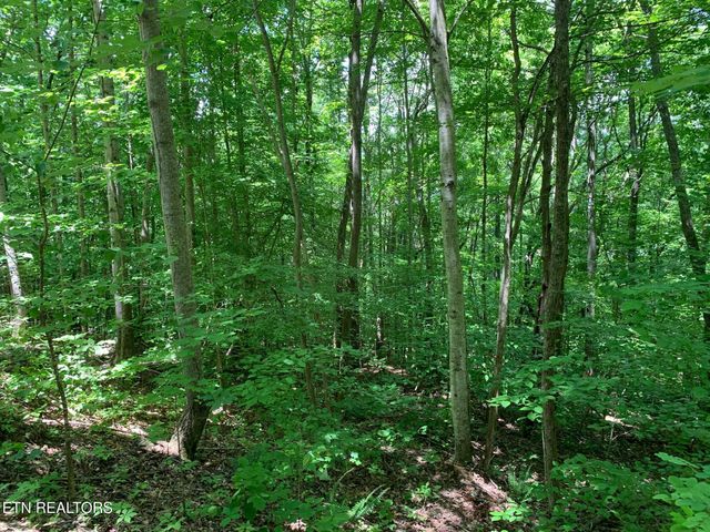 S Cove Rd, Maynardville, TN 37807