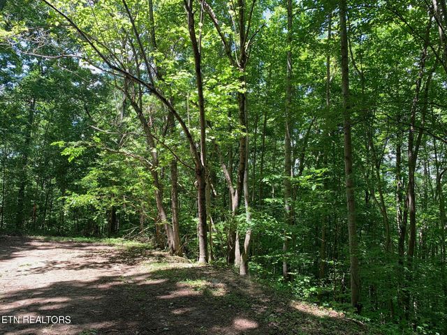 S Cove Rd, Maynardville, TN 37807