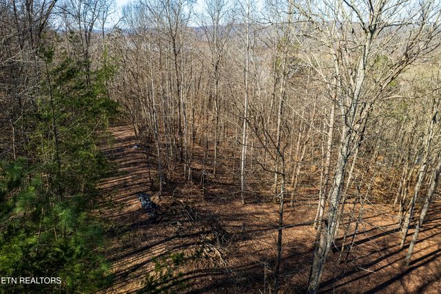 S Cove Rd, Maynardville, TN 37807