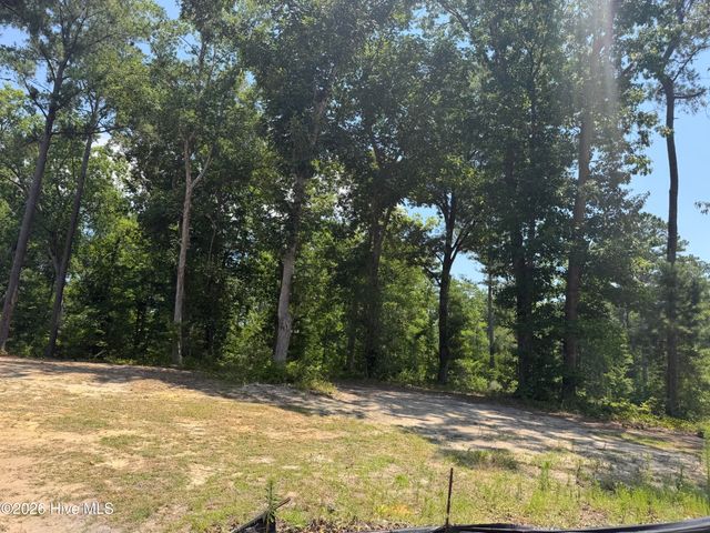 3864 River Park Way NE, Leland, NC 28451
