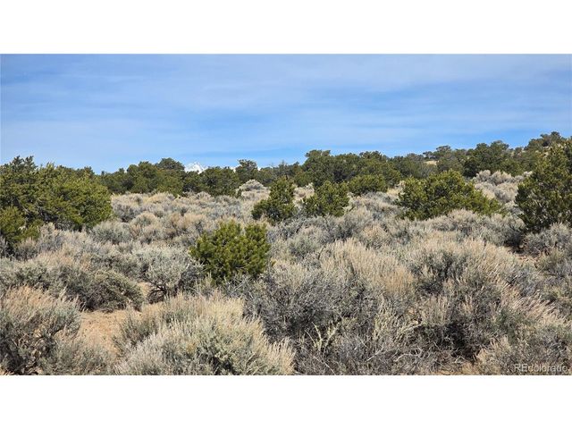 1075 Sylvia Rd, Fort Garland, CO 81133