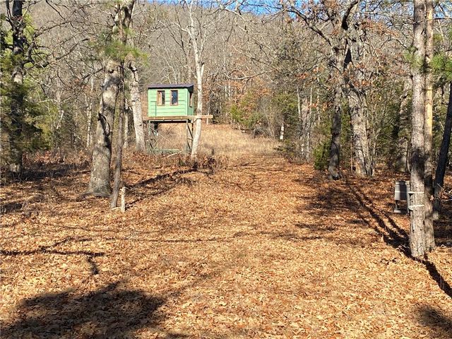 16475 N Johnson Cove, Omaha, AR 72662