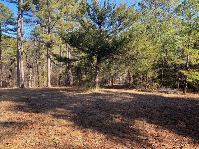 16475 N Johnson Cove, Omaha, AR 72662