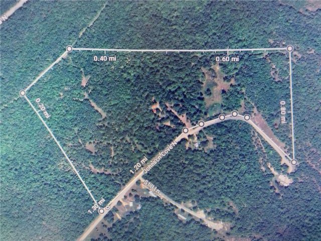 16475 N Johnson Cove, Omaha, AR 72662