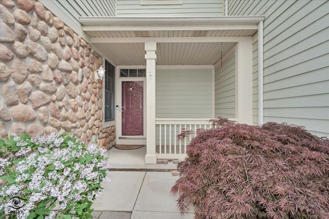 8638 SADDLEBRED Court, Frankfort, IL 60423