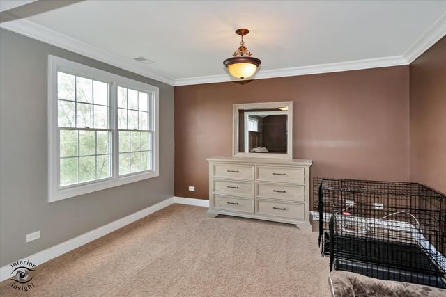 8638 SADDLEBRED Court, Frankfort, IL 60423