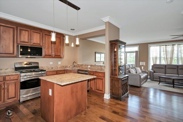 8638 SADDLEBRED Court, Frankfort, IL 60423