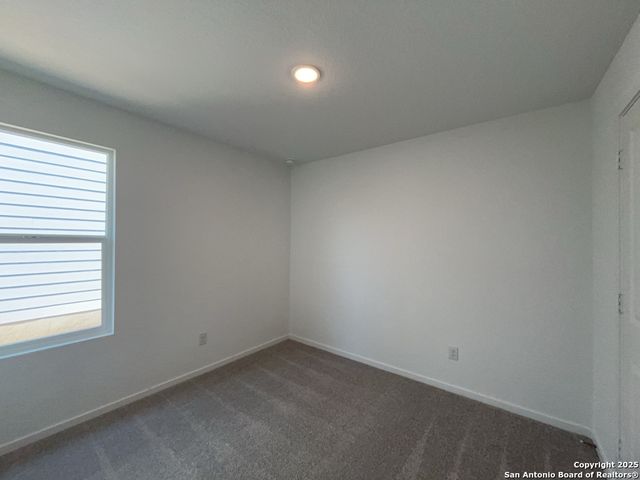 788 Bullsnake Trail, New Braunfels, TX 78132