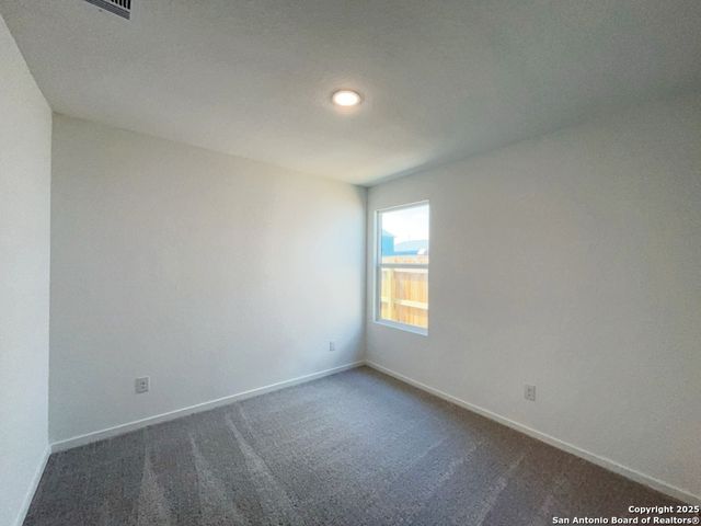 788 Bullsnake Trail, New Braunfels, TX 78132