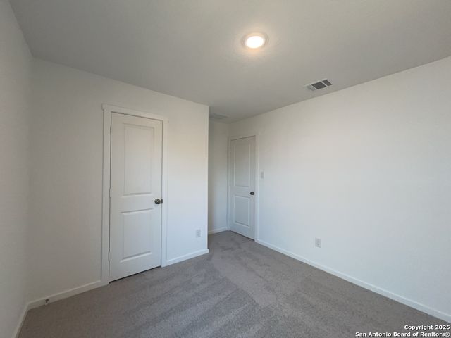 788 Bullsnake Trail, New Braunfels, TX 78132