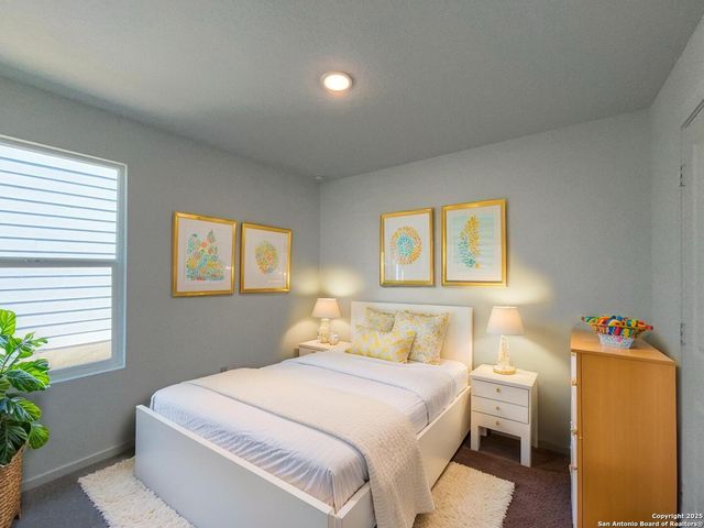 788 Bullsnake Trail, New Braunfels, TX 78132