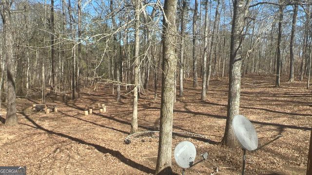 73 Friendship Church Road, Buchanan, GA 30113