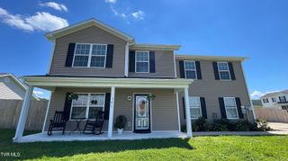 141 May Apple Drive, Bluff City, TN 37618