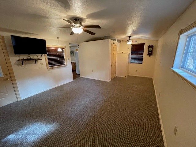 7118 Back Forty Court, Granbury, TX 76049