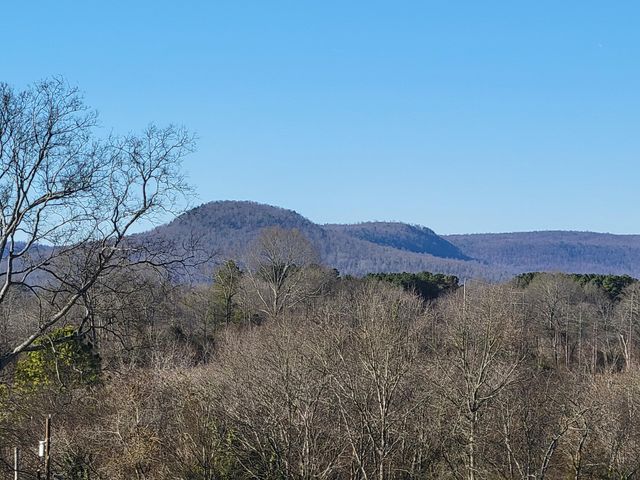 408 Nellis Avenue, Bridgeport, AL 35740