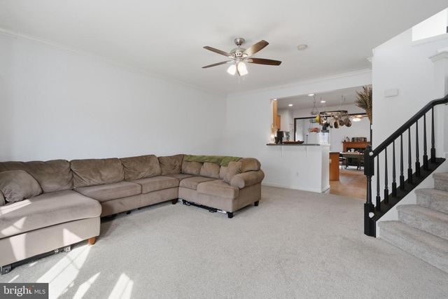 8 DON QUIXOTE, Charles Town, WV 25414