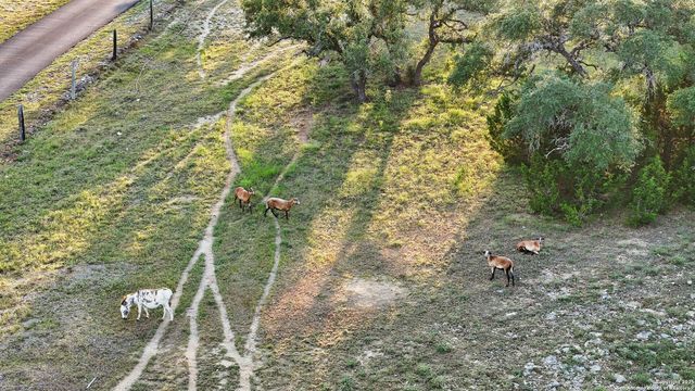 24209 Scenic Loop, San Antonio, TX 78255