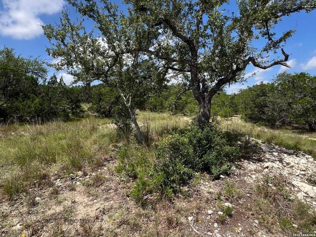 1188 CLIFF DR, Spring Branch, TX 78070