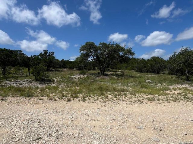 1188 CLIFF DR, Spring Branch, TX 78070