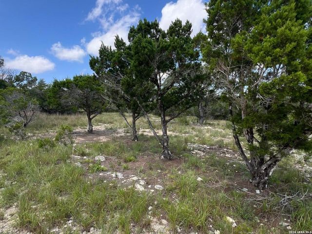 1188 CLIFF DR, Spring Branch, TX 78070
