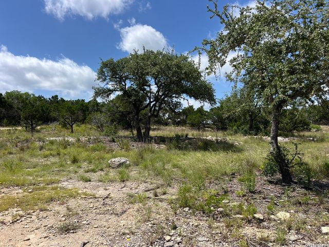 1188 CLIFF DR, Spring Branch, TX 78070