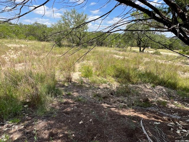 1188 CLIFF DR, Spring Branch, TX 78070