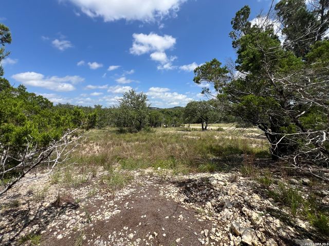 1188 CLIFF DR, Spring Branch, TX 78070