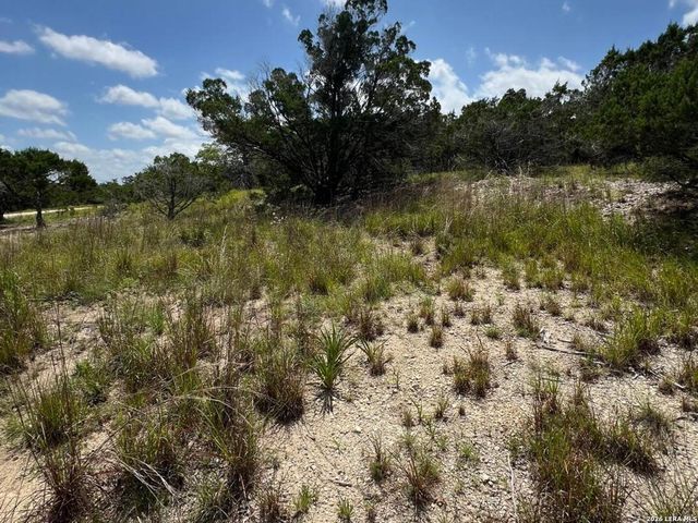 1188 CLIFF DR, Spring Branch, TX 78070