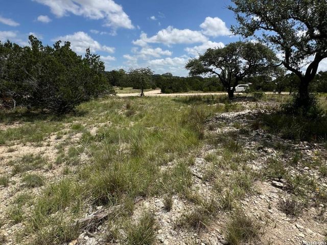 1188 CLIFF DR, Spring Branch, TX 78070