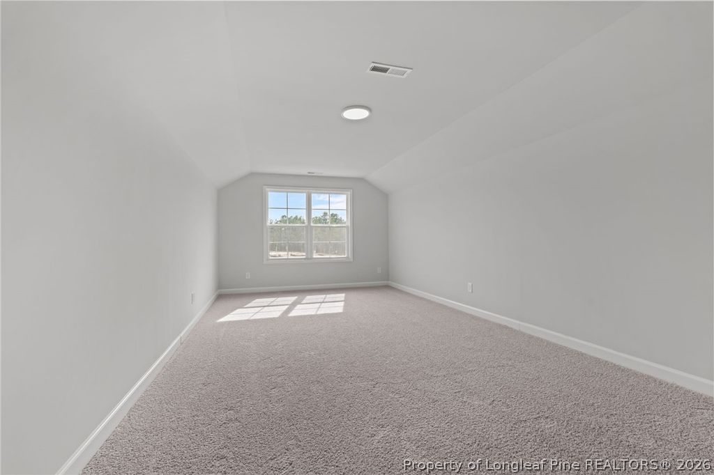 120 Michter Street, Vass, NC 28394 — photo 20