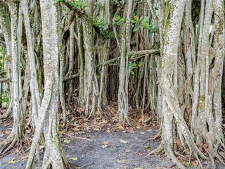 1206 21st Court, Vero Beach, FL 32960