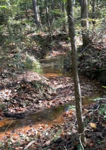 534 Whitney Branch Rd, Springville, TN 38256