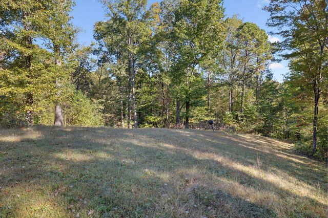 534 Whitney Branch Rd, Springville, TN 38256