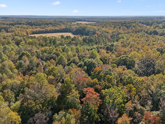 534 Whitney Branch Rd, Springville, TN 38256