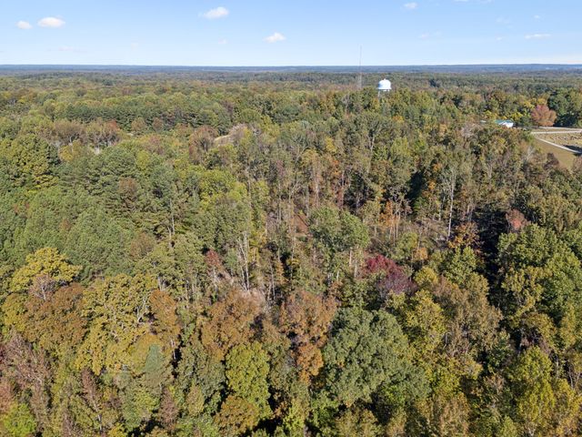 534 Whitney Branch Rd, Springville, TN 38256
