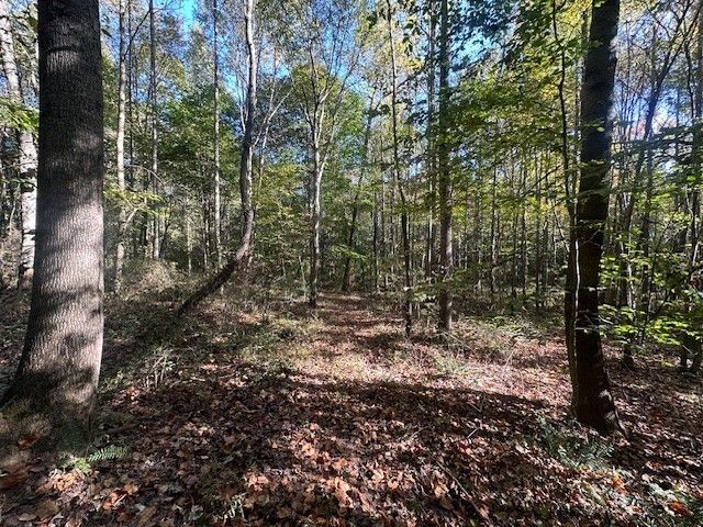 534 Whitney Branch Rd, Springville, TN 38256