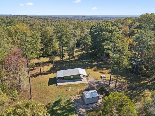 534 Whitney Branch Rd, Springville, TN 38256