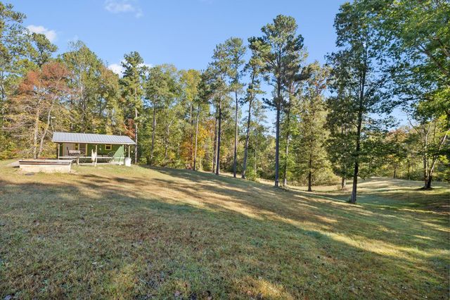 534 Whitney Branch Rd, Springville, TN 38256