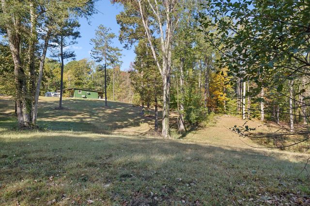 534 Whitney Branch Rd, Springville, TN 38256