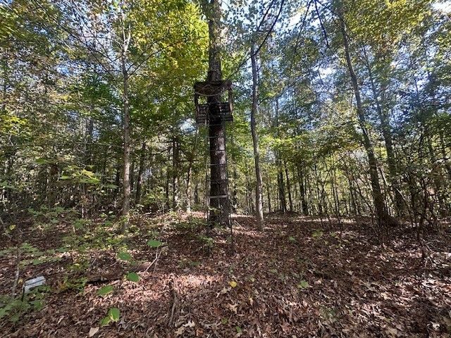 534 Whitney Branch Rd, Springville, TN 38256