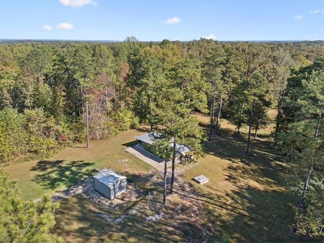 534 Whitney Branch Rd, Springville, TN 38256