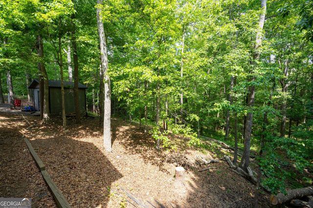 1350 Chester Harris Drive N, Dallas, GA 30132