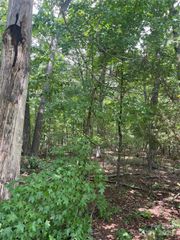 0 Monticello Road, Albemarle, NC 28001